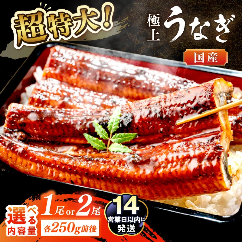 超特大！極上！国産うなぎ蒲焼　約250g　選べる 1尾 2尾
