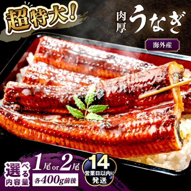 超特大！ふっくら肉厚！海外産うなぎ蒲焼　約400g　選べる 1尾 2尾