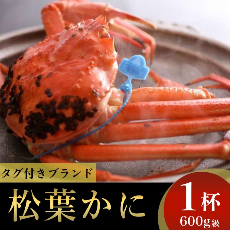 【厳選！！タグ付きブランド】茹で松葉かに 日本海山陰西部産　鮮度抜群、釜茹でにてお届け！！　600g級×1杯