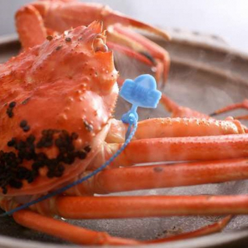 松葉ガニ漁解禁　特別セール　限定5０匹　【厳選！！タグ付きブランド】茹で松葉かに　鮮度抜群、釜茹でにてお届け！！　600g級×1杯